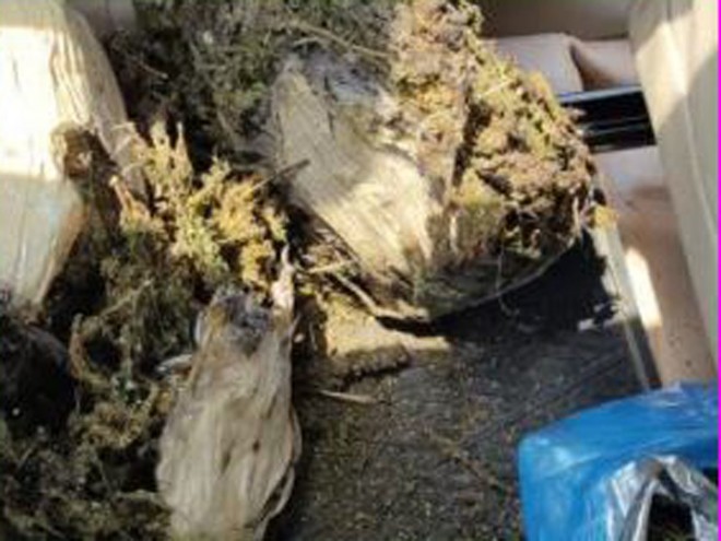 Hyderabad: 4kgs of ganja caught by the Police from the burnt car