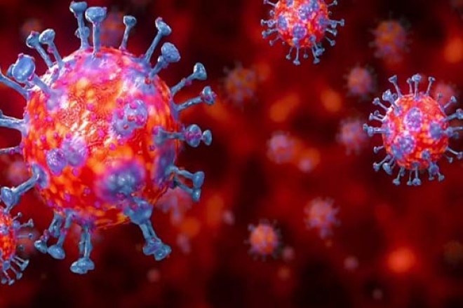 Report: Coronavirus might indirectly help India